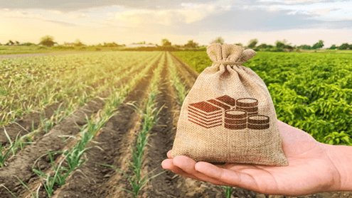 Társadalmi egyeztetésre került a 2022. január 1-től induló új agrár-környezet gazdálkodási program.